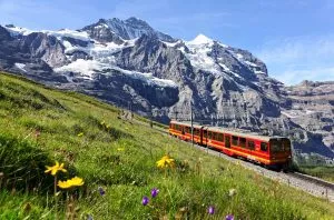 Et turisttog kjører på Jungfraubahn fra Jungfraujoch til Kleine Scheidegg.