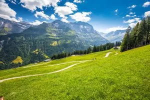 Le village des ormes et les montagnes suisses