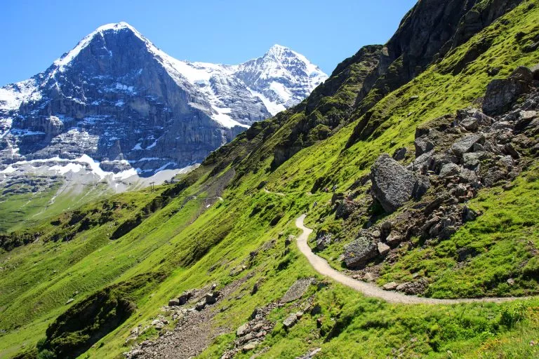 Ruta panorámica de Mannlichen a Kleine Scheidegg con vistas al Eiger