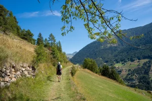 Wandelen door het Zwitserse platteland